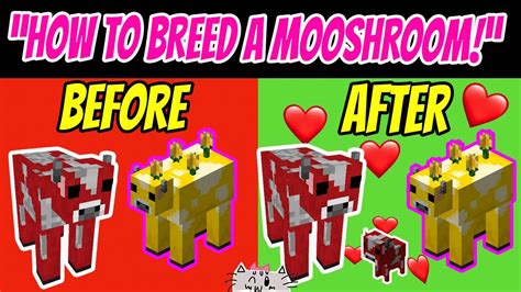 How To Breed Mooshrooms In Minecraft How To Make Baby Mooshrooms