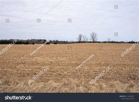 26,869 Barren field Images, Stock Photos & Vectors | Shutterstock