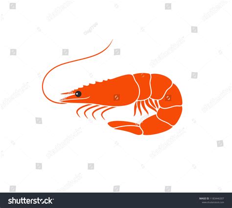 Shrimp Logo Isolated Shrimp On White Stock Vector Royalty Free 1183446307