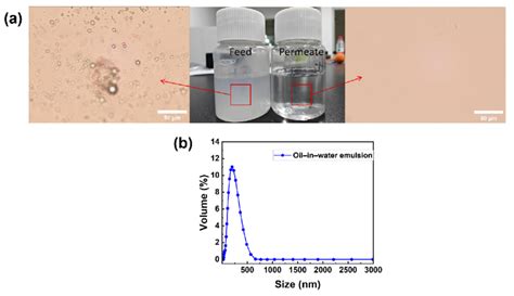 (a) Imaging of oil-in-water emulsions under optical microscope before... | Download Scientific ...