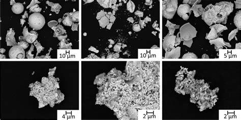 Scanning electron microscopy images (backscatter electrons, BE) of the ...