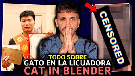 Todo Sobre El Caso Del Gato En La Licuadora Cat In Blender Resubido