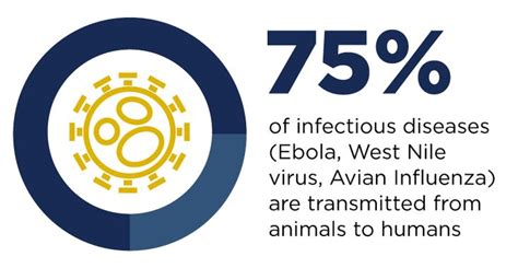 Zoonotic Diseases One Health Infographic 75 Of Infectious Diseases