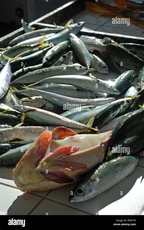 Mercado De Copacabana Hi Res Stock Photography And Images Alamy