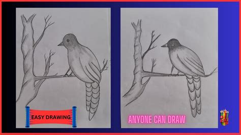 Simple Bird Drawing Easy Pencil Sketch And Shading Drawing YouTube