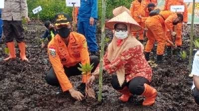 Detak Banten Sambut Hut Ke Basarnas Nias Tanam Pohon Mangrove