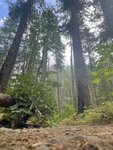 Best Moderate Trails In Cascade Locks Alltrails