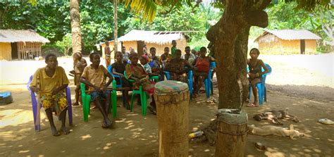 Land Tenure The Legal Battles Of The Indigenous Bagyeli In Cameroon