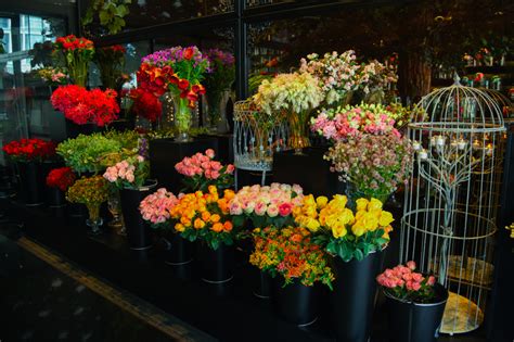 Forever Rose Opens World-Class New Boutique in City Walk Dubai | Arabia ...