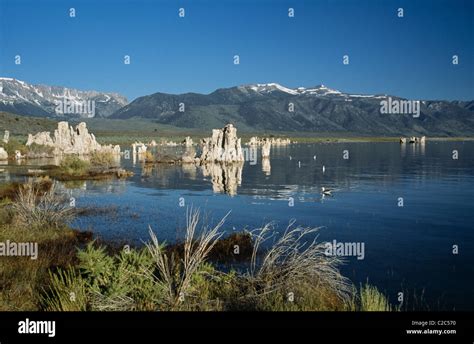 Mono Lake California Usa Stock Photo Alamy