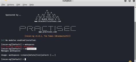 Recon Ng Information Gathering Tool In Kali Linux GeeksforGeeks