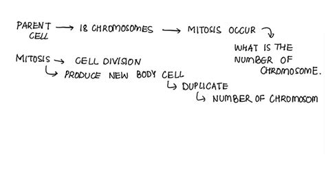 SOLVED: If an animal cell has 18 chromosomes and undergoes mitosis, how ...