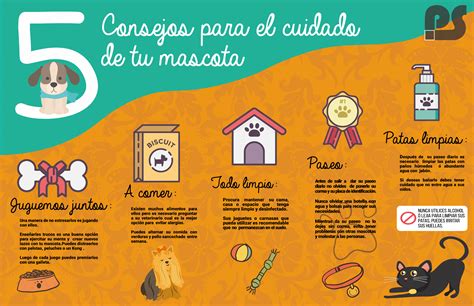 5 Consejos Para El Cuidado De Tu Mascota Punto Seguido Upc