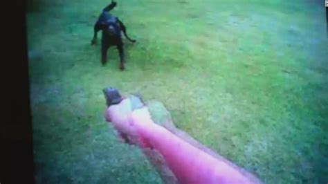 Dog Shot Killed By Deputy Who Jumps Fence Into Yard Cnn Video