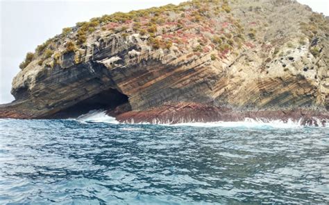 A day of snorkeling from Isabela on Isla Tortuga | Local travel agency ...