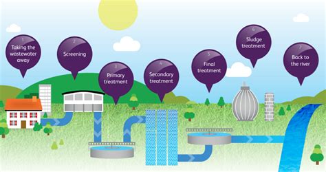 Stages Of Sewage Treatment