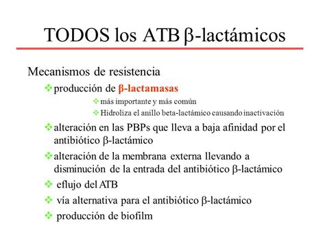 Mecanismos deResistencia a los Antibióticos ß lactámicos y