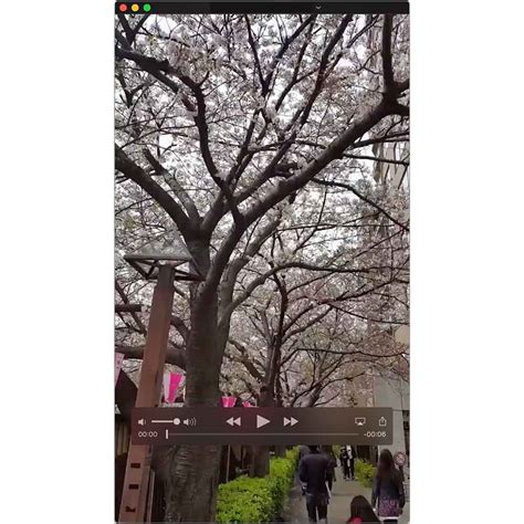 Twitterの動画を保存する方法まとめ【iphone、android、パソコンで】