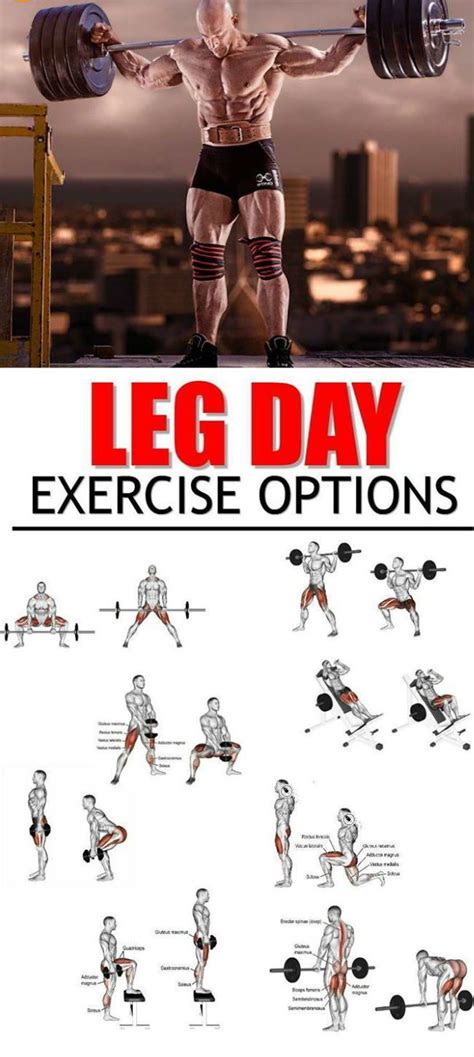 Build Bulging Bigger Legs Fast With This Workout GymGuider Leg