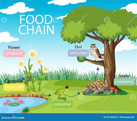 Chain Diagram In Blue Background Stock Image Cartoondealer