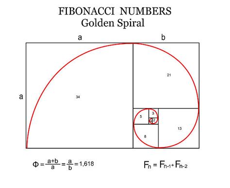 Royalty Free Fibonacci Sequence Clip Art Vector Images And Illustrations