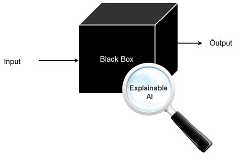 About Black Box Ai 10 Things Business Companies Need To Know About