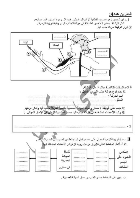 9 ème التاسعة أساسي علوم الحياة والأرض فرض مراقبة عدد 1 علوم الأرض و