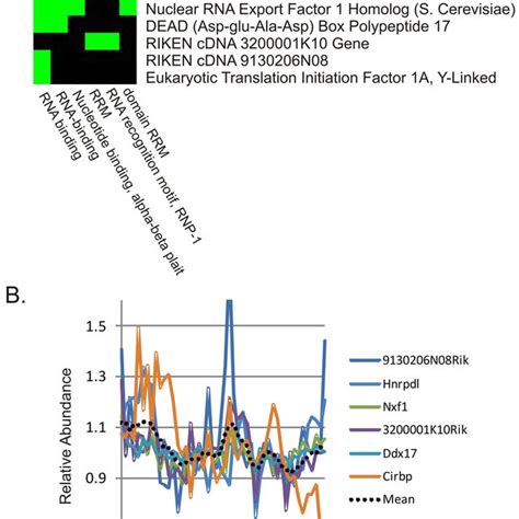 JTK CYCLE Reliably Estimates Phase And Amplitude Of Cycling Transcripts