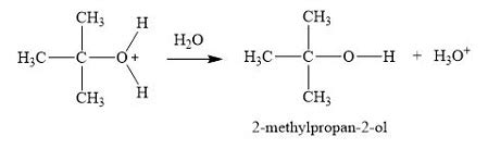 Draw The Sn Mechanism For Chloro Methylpropane In The Presence Of