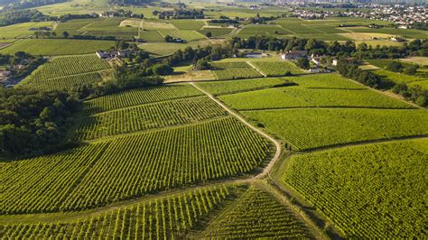 Your 2023 guide to Bordeaux wine region | Winetourism.com