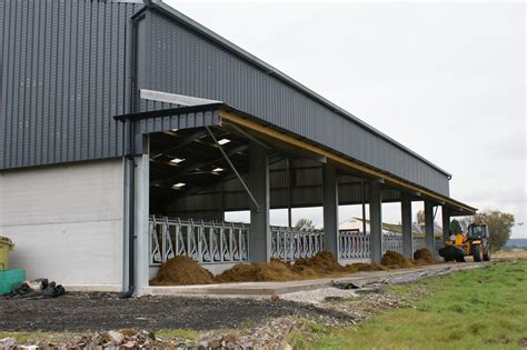 Beef Housing Robinsons Agricultural Agricultural Shed Builders