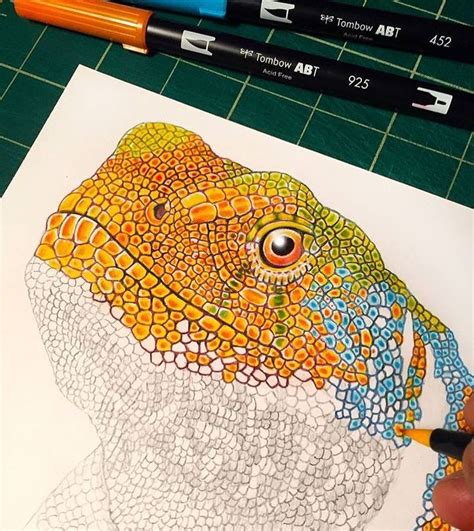 Tim Jeffs Art On Instagram Collared Lizard Brush Pen Drawing Wip