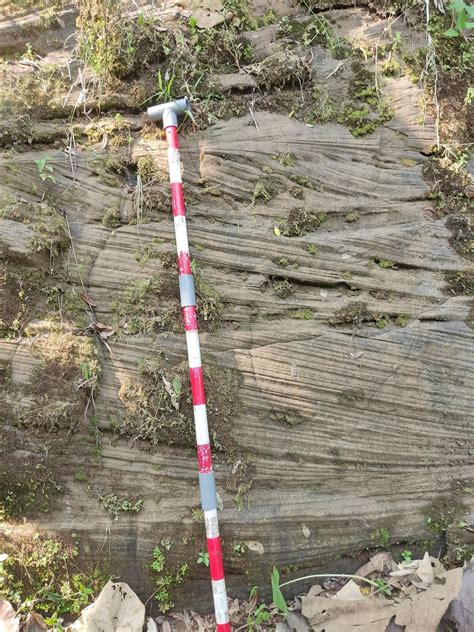 Cross Bedding In Sandstone Rgeology