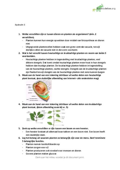 Natuur Samenvatting Uitleg Bladeren Met Fotos Maar Ook Biologie Info