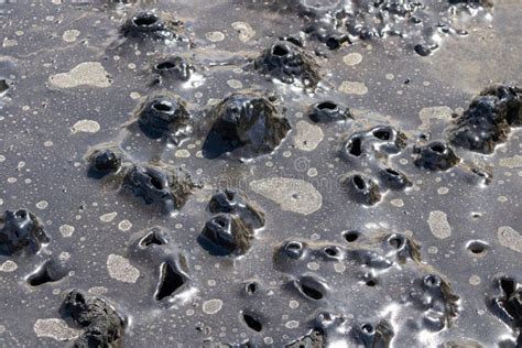 Closeup Of Spilled Oil On The Ground Pollution Concept Stock Image