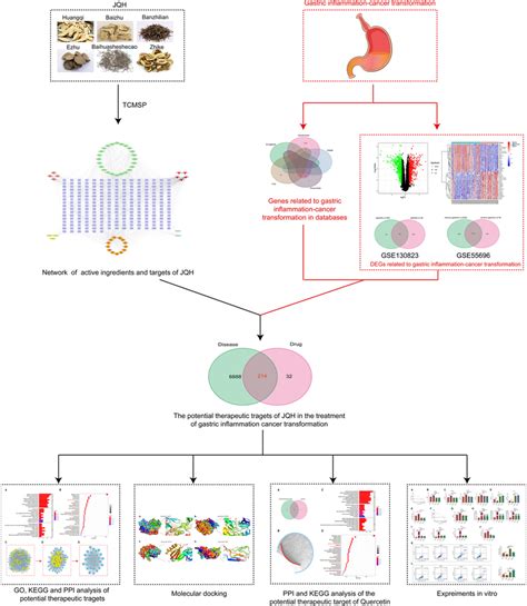 Flow Chart Of Network Pharmacology And Experimental Validation Download Scientific Diagram