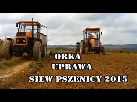 Orka Uprawa I Siew Pszenicy 2015 2x Ursus Danio URSUS YouTube