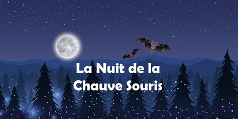 Nuit De La Chauve Souris Ville De Hem