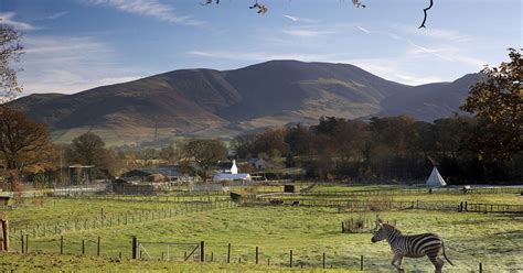 The Lake District Wildlife Park - Bassenthwaite - Visit Lake District