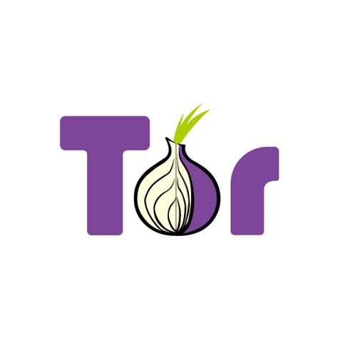 Is Tor Browser Still Safe To Use In 2024 VPNpro