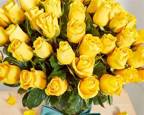 50 Beautiful Long Stem Yellow Roses Roses Only Uk