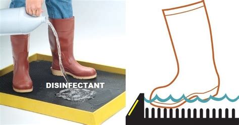 Disinfectant Boot Bath Mat Malaysia