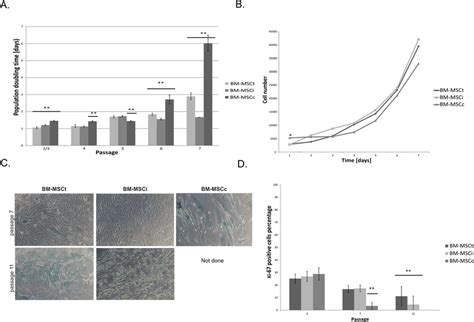 Analysis Of Bm Msc Cell Growth A Population Doubling Time Pdt