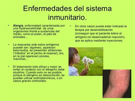 Enfermedades Sistema Inmune Andrea