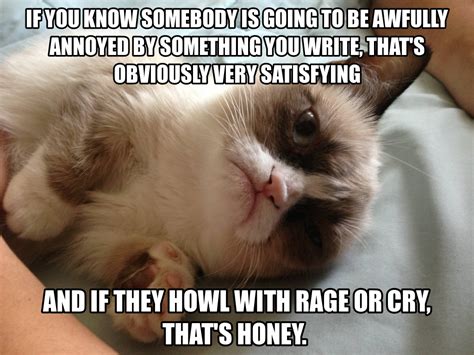 Grumpy Cat Quotes. QuotesGram