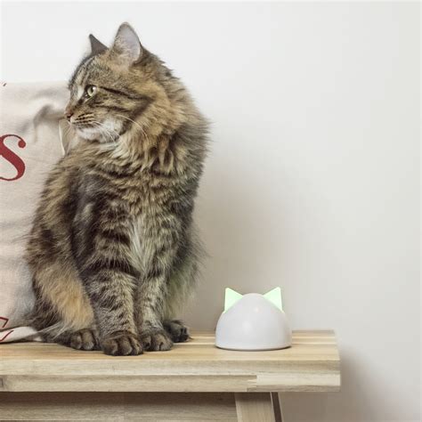 Microchip Pet Door Connect + SureFlap Hub - Sure Petcare - Touch of Modern