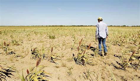 5 Datos Curiosos Y Preocupantes Sobre La Escasez De Agua El Granero