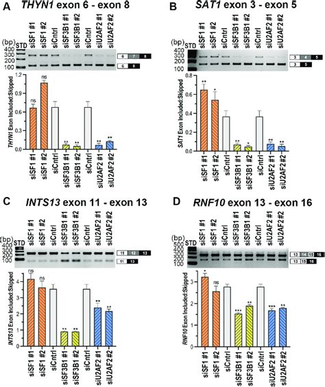 comparison  sfb  sf modulation  representative
