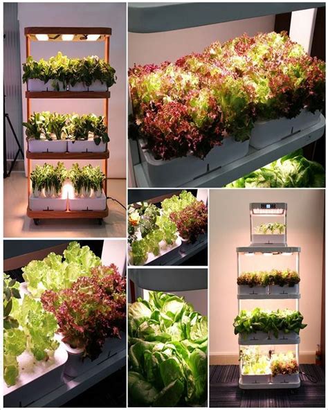 15 Indoor Food Garden Ideas To Consider Sharonsable