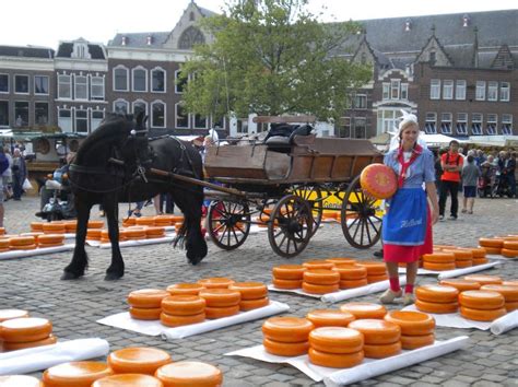 Cheese Market Of Netherlands There Are Five Cheese Markets Operating